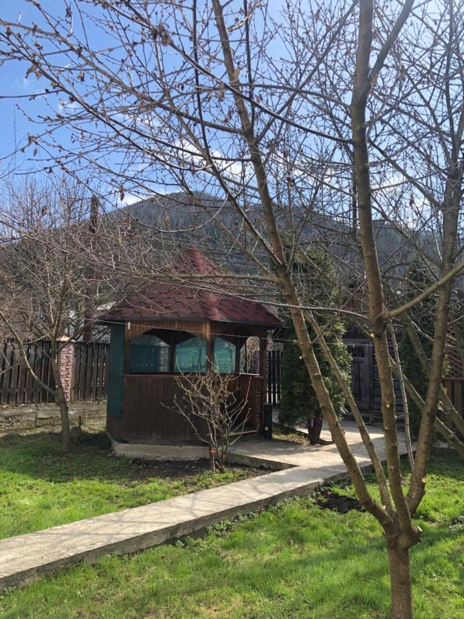 Садиба Диво Квітка Tatariv Exterior photo
