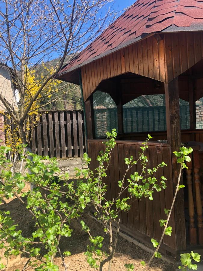Садиба Диво Квітка Tatariv Exterior photo
